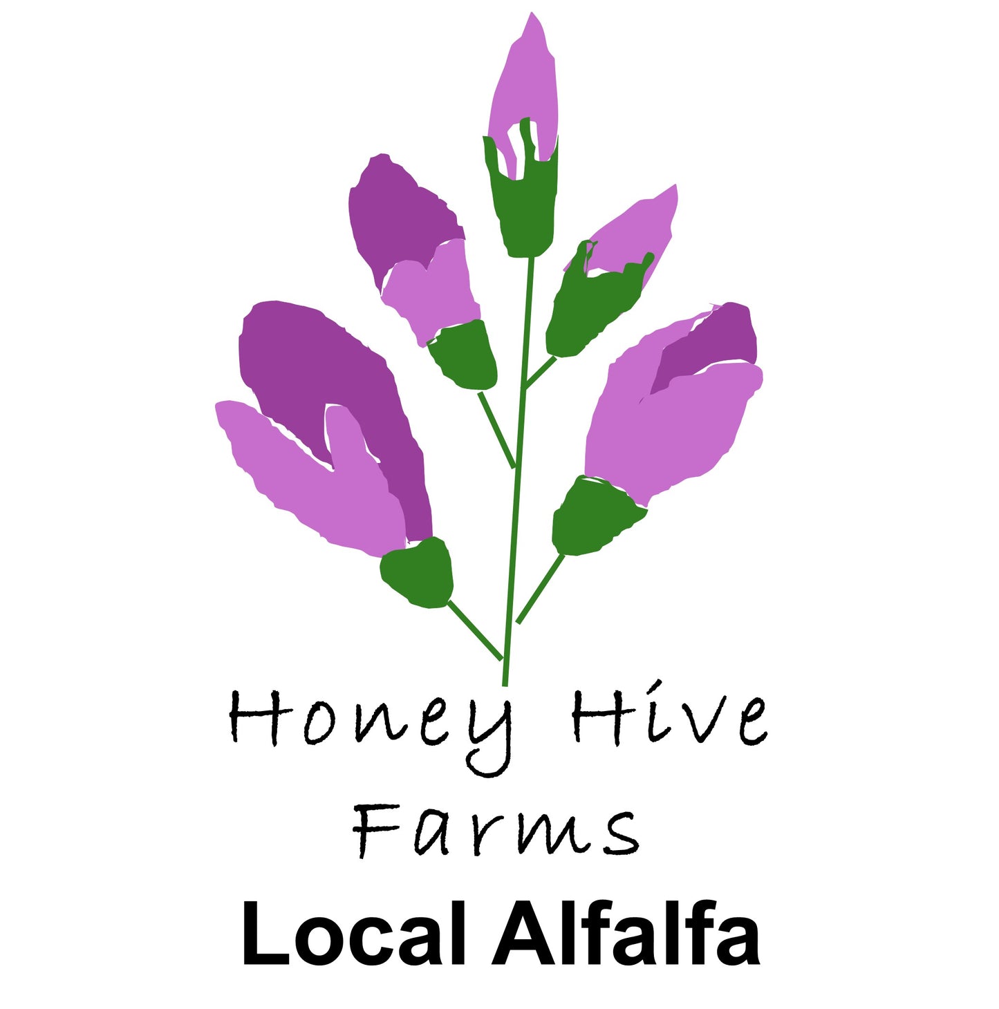 Alfalfa Honey