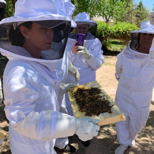 Introduction to Beekeeping, Hands-On Experience